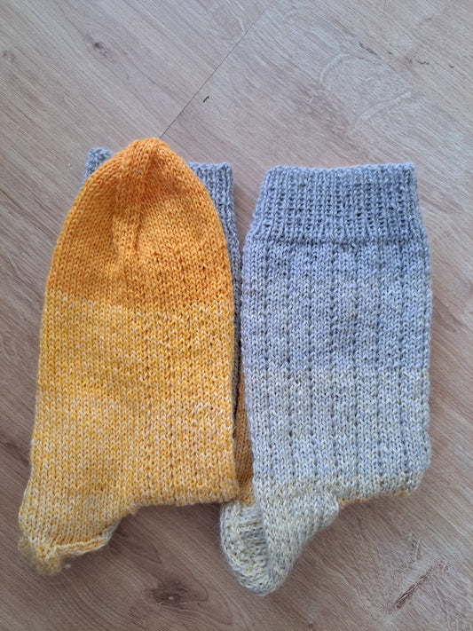 chaussettes fines - soleil d'automne dans les bouleaux- pointure 42/44