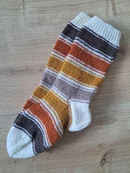 villasukat fines - automne dans la forêt