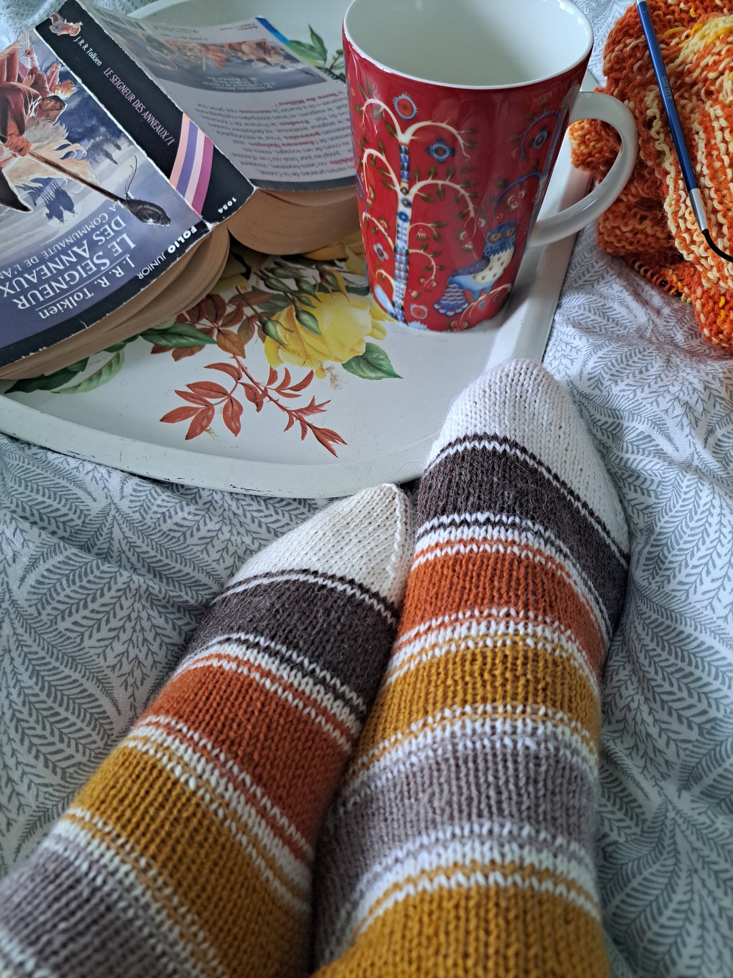 villasukat fines - automne dans la forêt