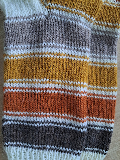 villasukat fines - automne dans la forêt