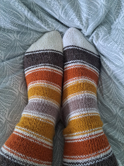 villasukat fines - automne dans la forêt