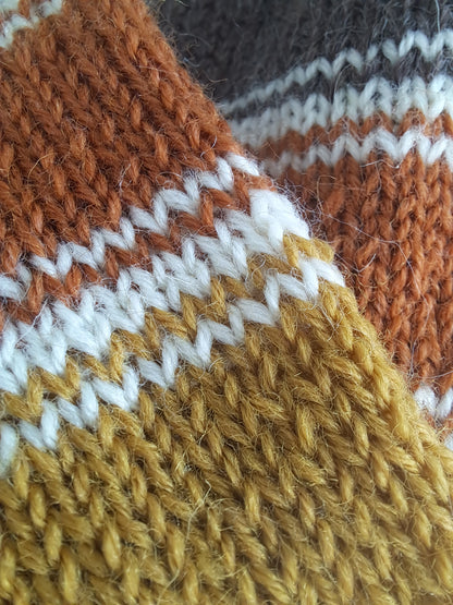 villasukat fines - automne dans la forêt